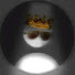 3WeyrESTi1U-channel-avatar-MinevidZ