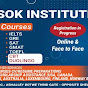 SOK INSTITUTE logo