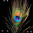 LmQvIYWz_zY-channel-avatar-TARTAM SRSM