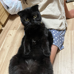 ふゆねこぽこ