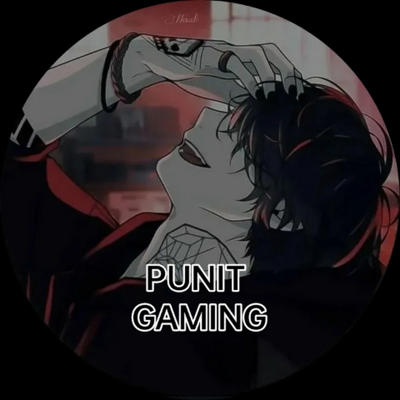 Hire PUNIT GAMING — Travel & Adventure YouTube creator for sponsorships