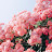 @오렌지렌지-o9f