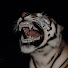 78Na19kUMOk-channel-avatar-ALXM