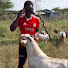 Q3rvvDhp_Ys-channel-avatar-Masaai Empire Farm