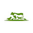 HrR1Cb-grDk-channel-avatar-KLER PUNJAB FARM