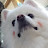 @Interior_doggy