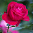 @thanhtrantrong3450