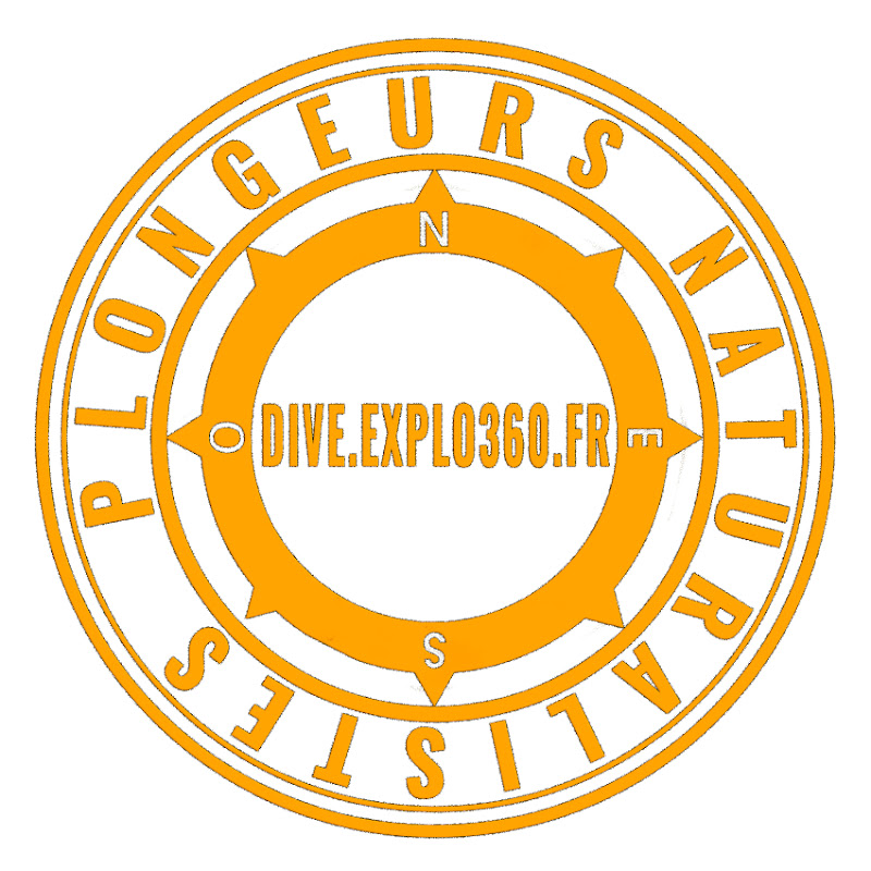 dive.explo360