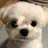 @edwinyoon9680