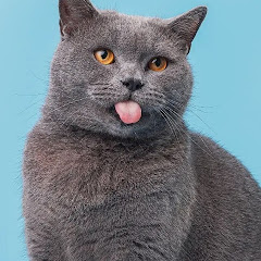 koky