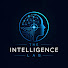 P-jfu6nDamQ-channel-avatar-The Intelligence Lab
