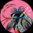 C3LLDJtSOdg-channel-avatar-FastJanek