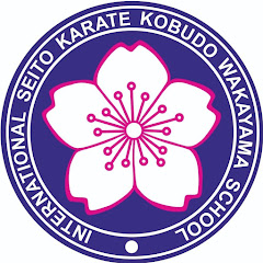 Традиционное SEITO KARATE в Дмитрове channel logo