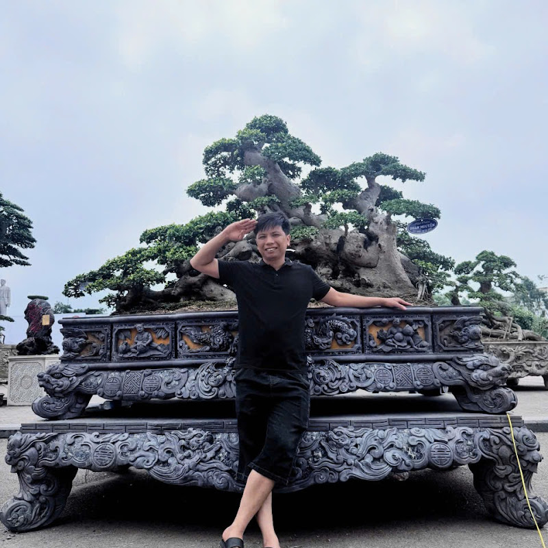Cao Thắng Bonsai 