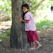 FLN & ECE Telangana