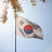 @KPOPer-7777