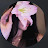 @نورههزازي-ط6ل