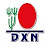 DXN