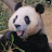 @푸행복하자