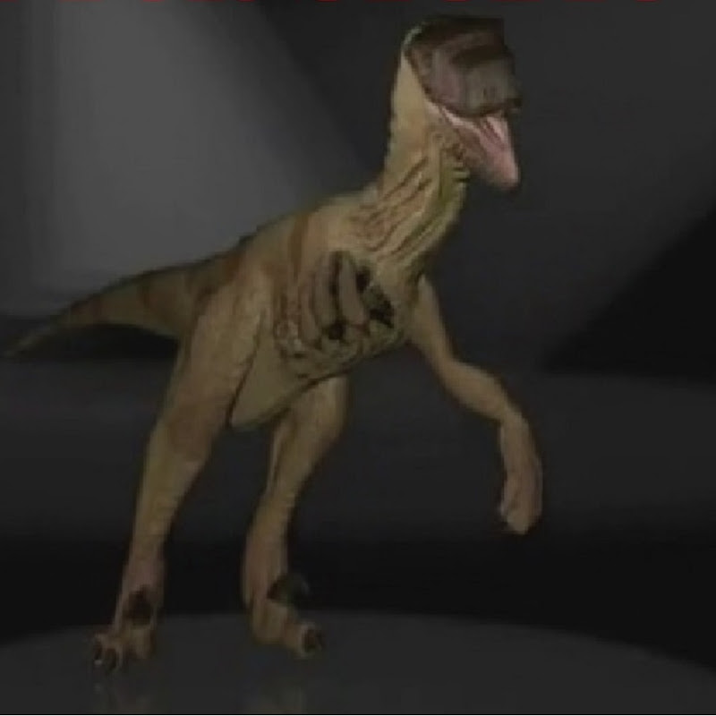 raptor10111