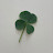 @clover._four-leaf