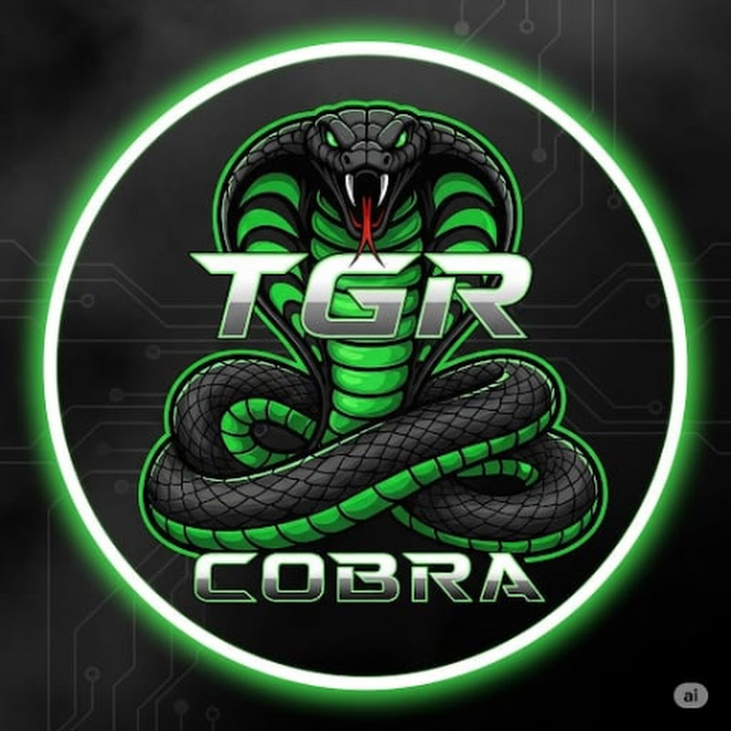 Hire TGR COBRA2021 — Retro Gaming & Emulation YouTube creator for sponsorships