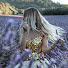 QN9omrbvbGY-channel-avatar-dailysamood