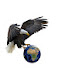 4UtWUPXv0Ic-channel-avatar-Grip On Travel 