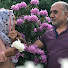 TP5ytpoRxjU-channel-avatar-Frau Elham ست الهام 