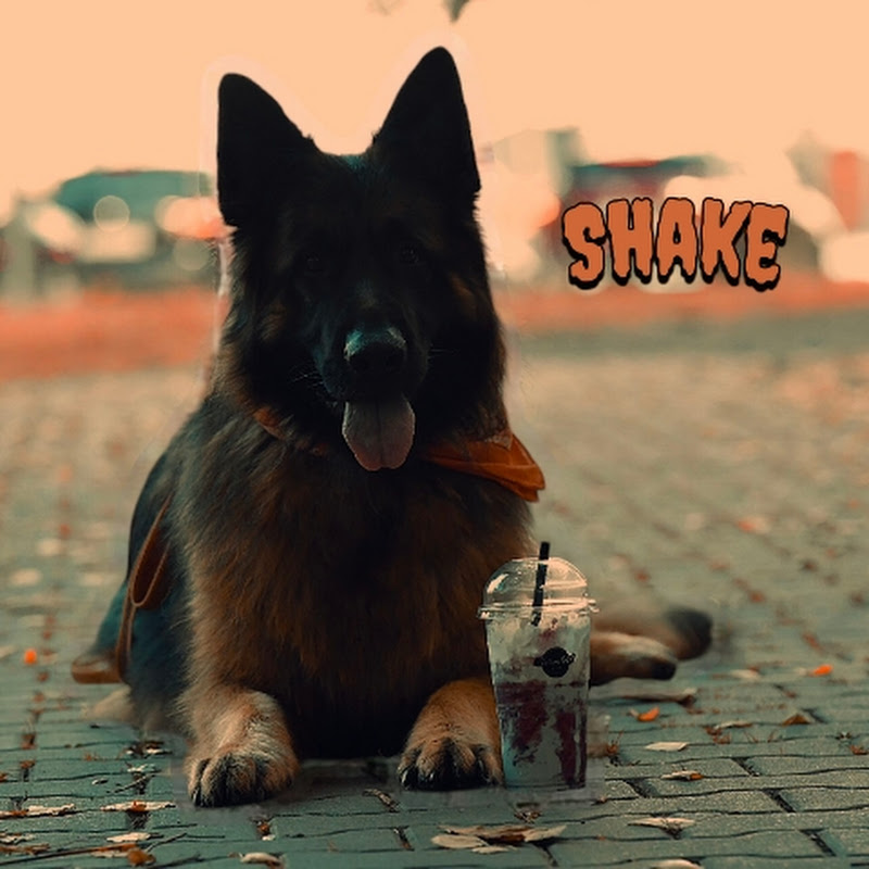 Shake