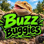 Buzz Buggies