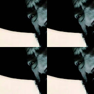 thumbnail img1x1