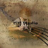 wCrgJ8T1f2Y-channel-avatar-Piu Sorin Studio
