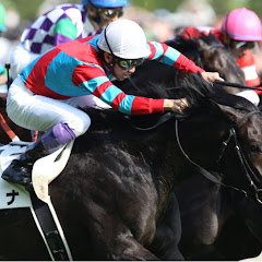 競馬データ検証チャンネル