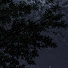 oYgLh81LQT0-channel-avatar-alone . одиноко