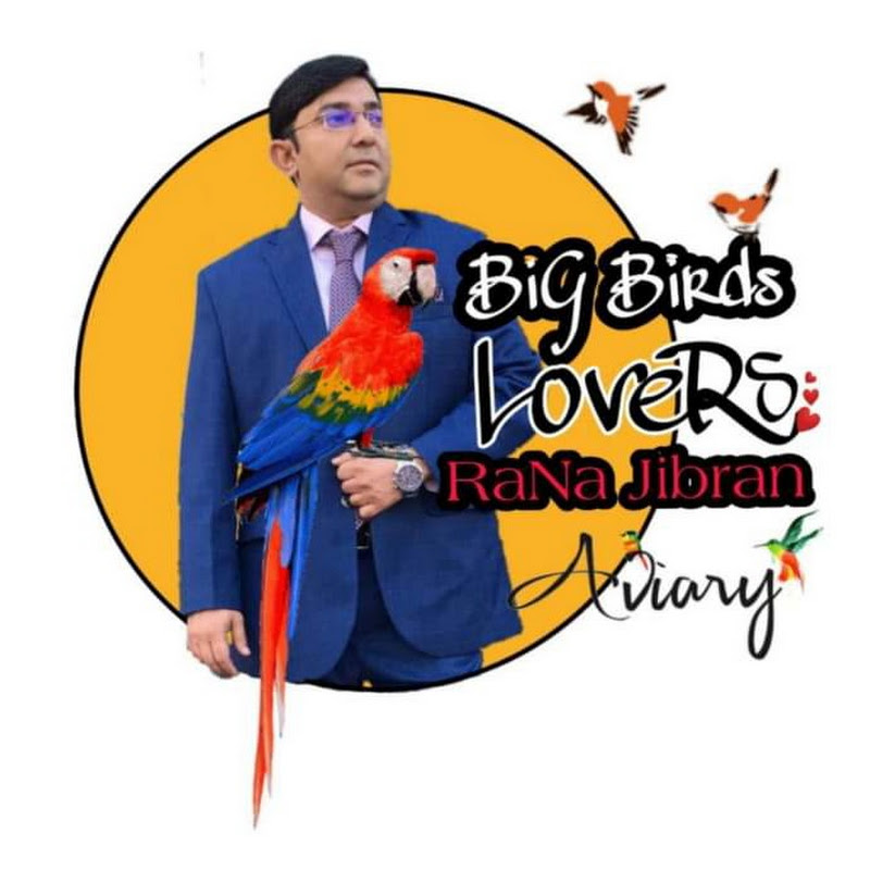 BIG BIRDS LOVERS