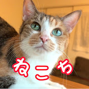 ねこち