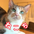 Mbc6icfvXrs-channel-avatar-ねこち