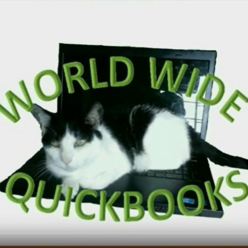 thequickbooksdude