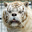 @KHuyPh's avatar