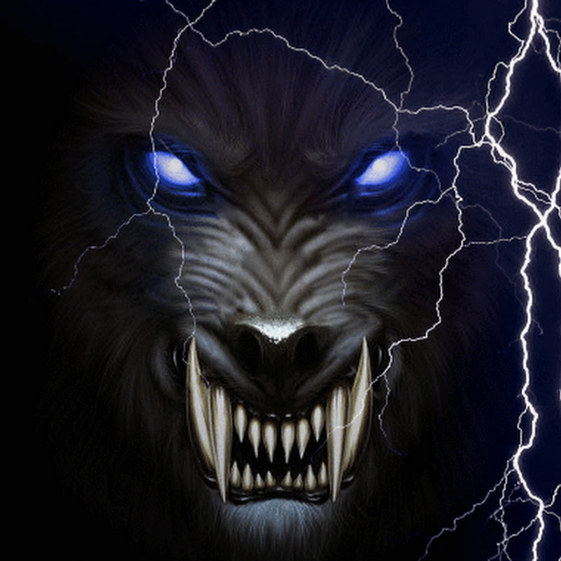 Lone Wolffie