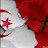 Mounir RB 06
