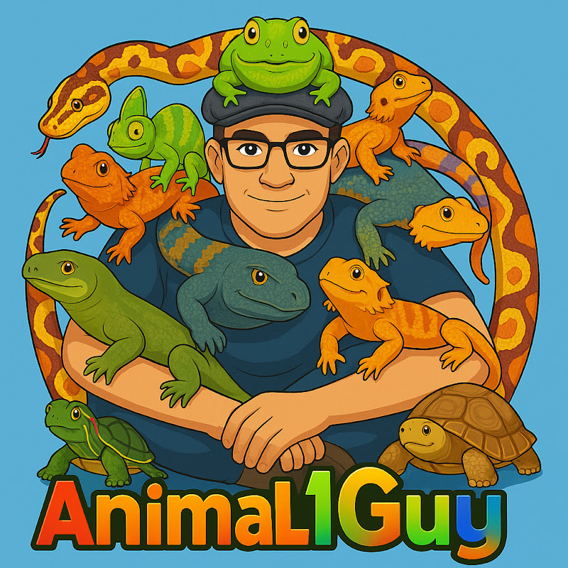 Animal1 Guy