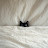 @qweasdzxc098-f9u