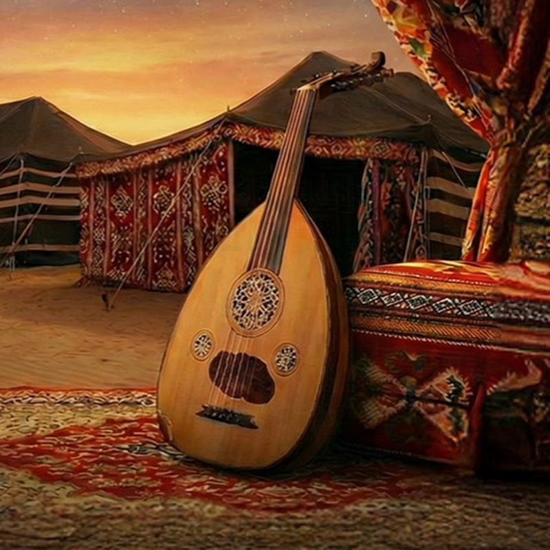  شيلات