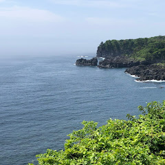 YASU YUKI