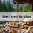 jctojrKg4N4-channel-avatar-Cozy Forest Melodies