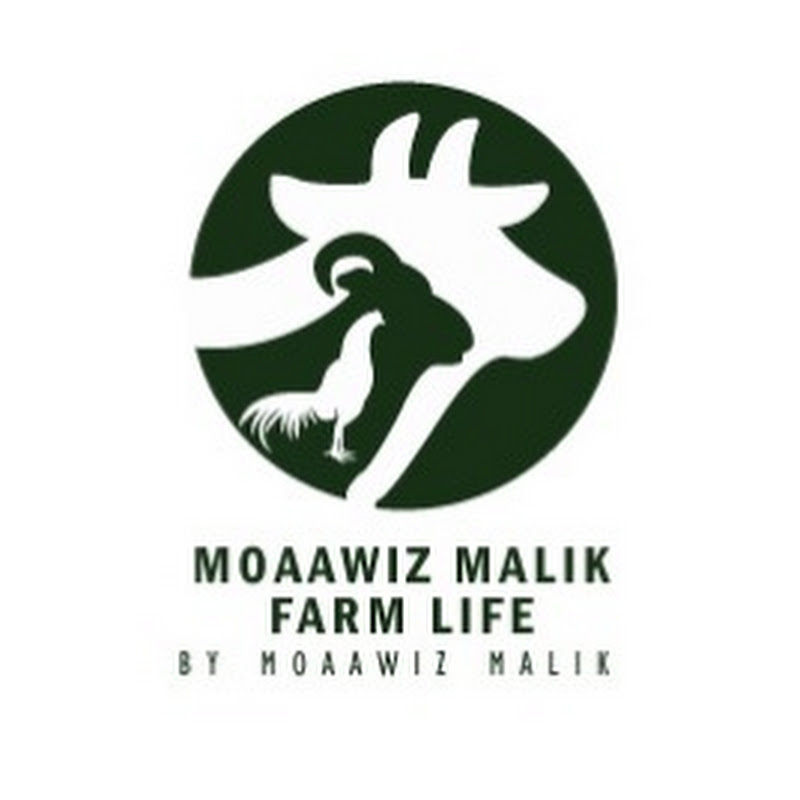 Moaawiz Malik Farm Life
