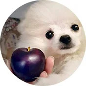 カマンベルチーズハウス I CamemBertCheeseHouse