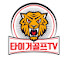 qFzHBktsVTY-channel-avatar-타이거골프TV